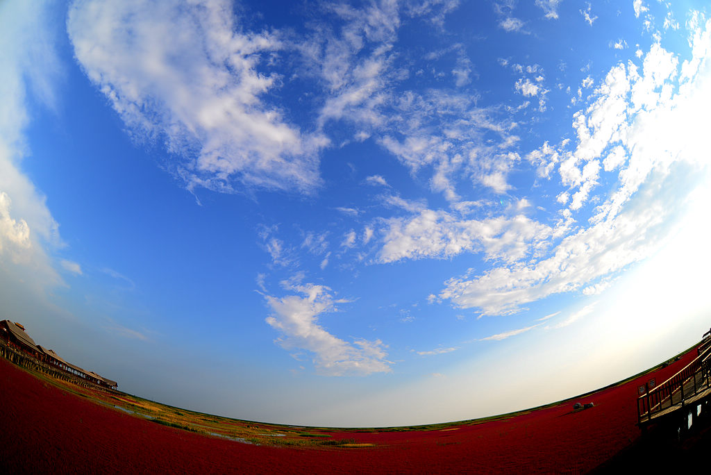 DSC_2327.jpg