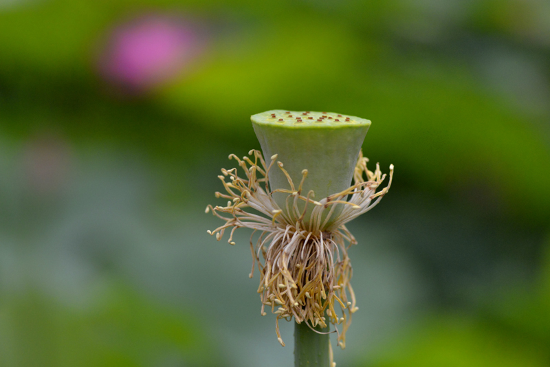 4._H102539.jpg