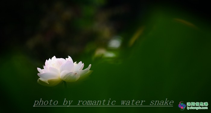 6_71842_b086946c9d7ade8.jpg