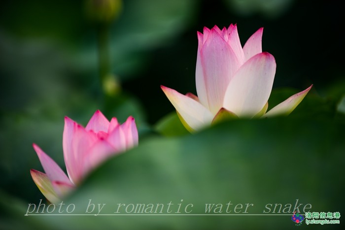 6_71842_f1bcd2f5a39030e.jpg
