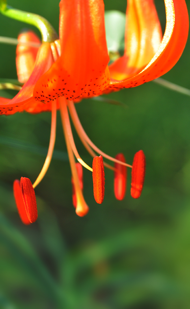 DSC_0023.JPG