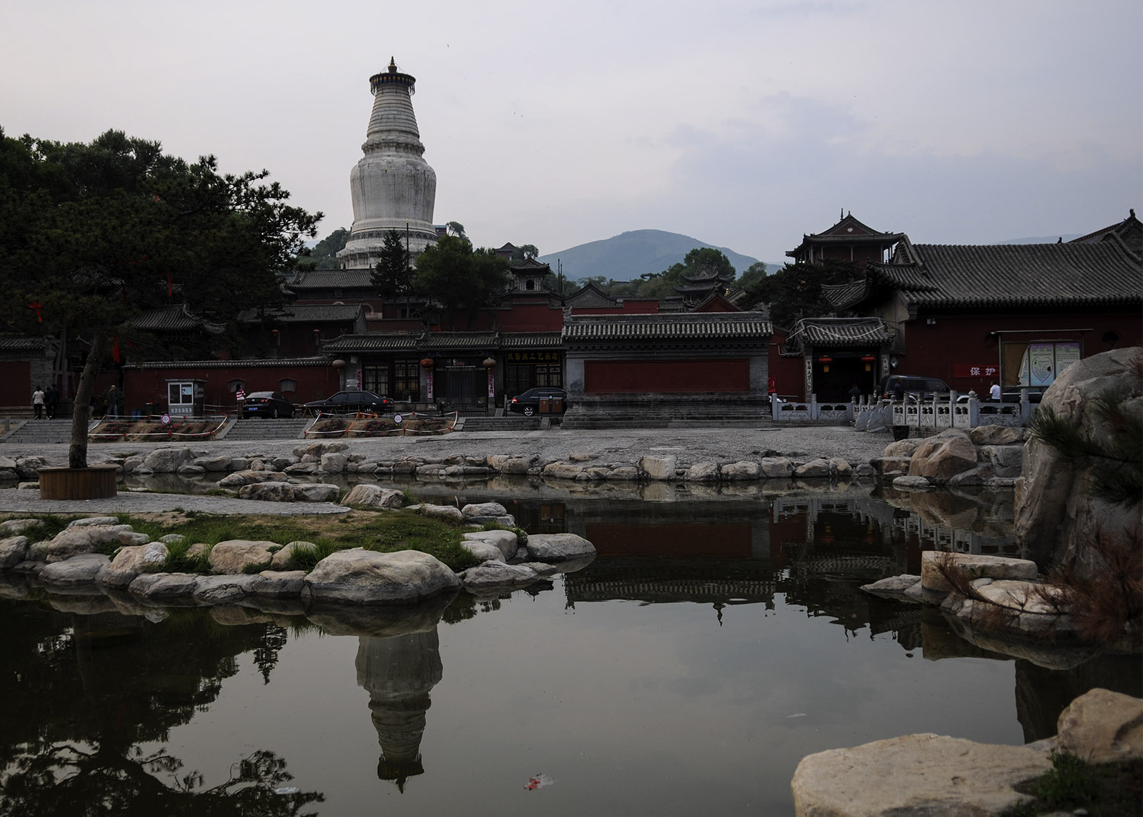 DSC_3086.jpg