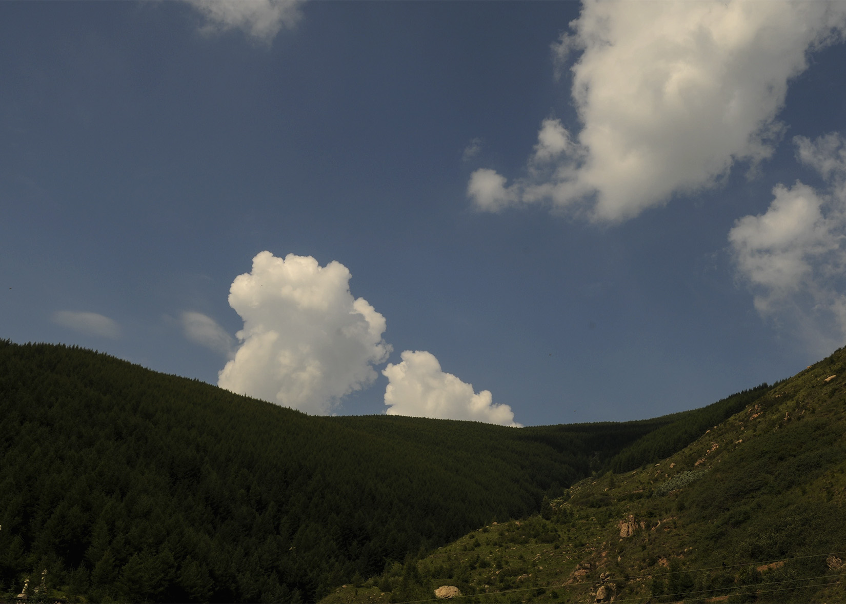 DSC_2945.jpg