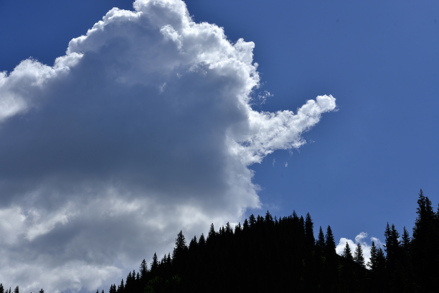 _DSC0065.JPG