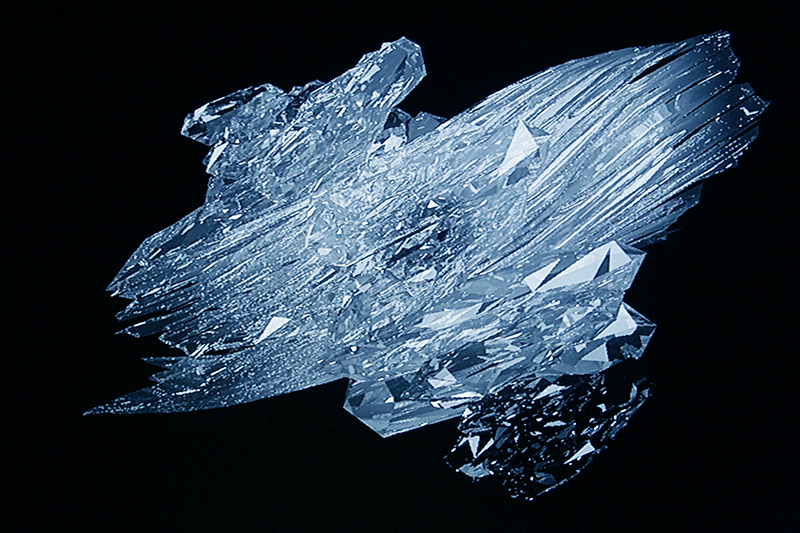 IMGS5911.jpg