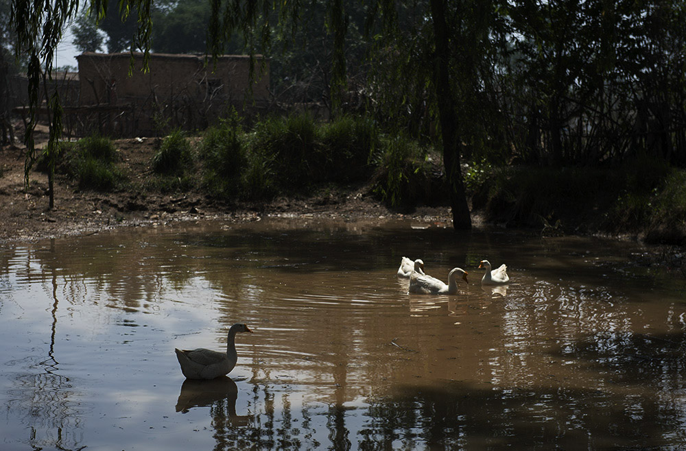 DSC_1848.jpg