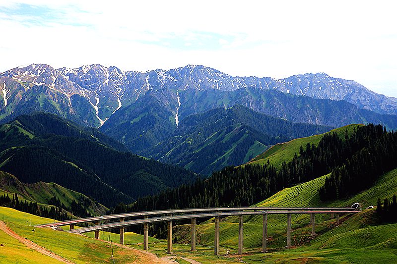 479A0215_.jpg