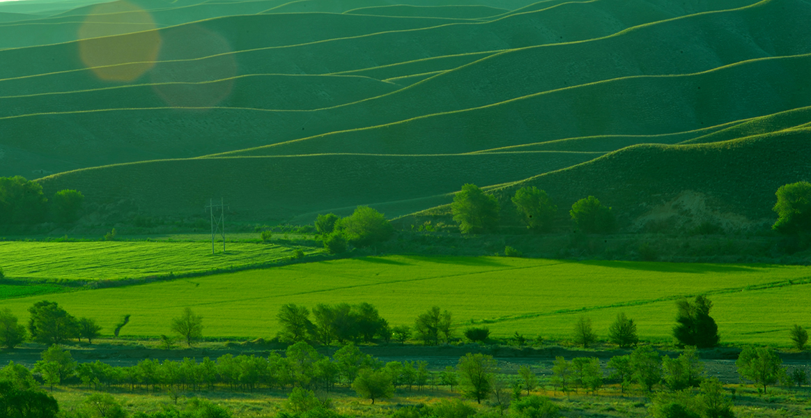 DSC_0087.JPG