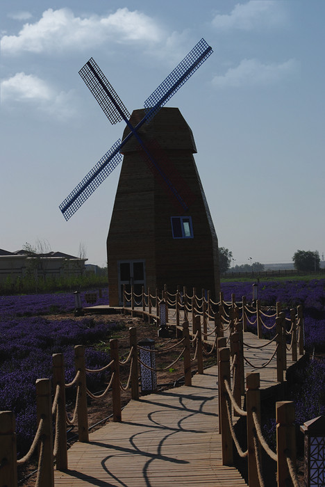 DSC_0013_a.jpg