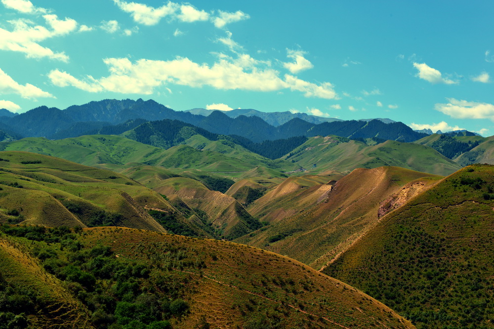 DSC_4147.JPG