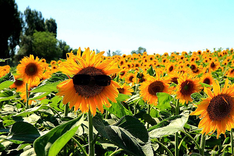 479A0724__.jpg