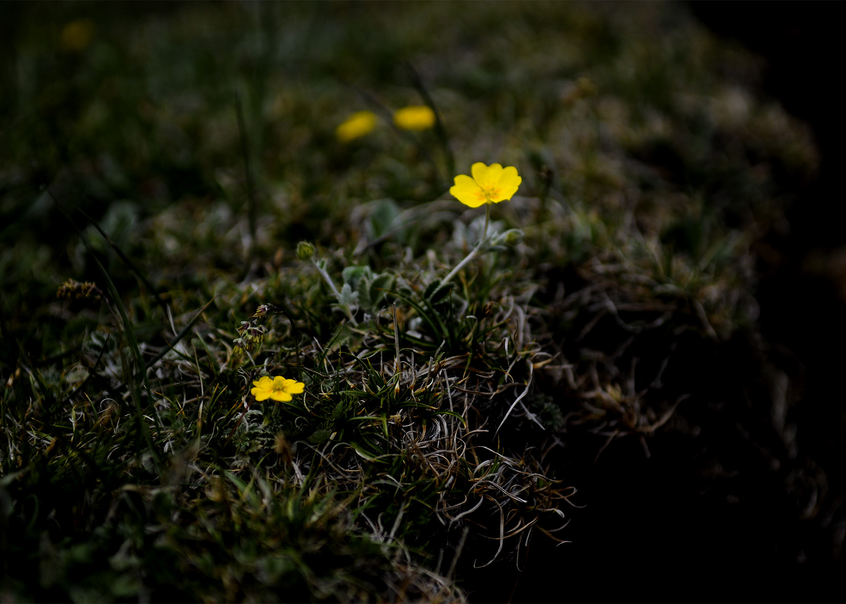 DSC_3314.jpg