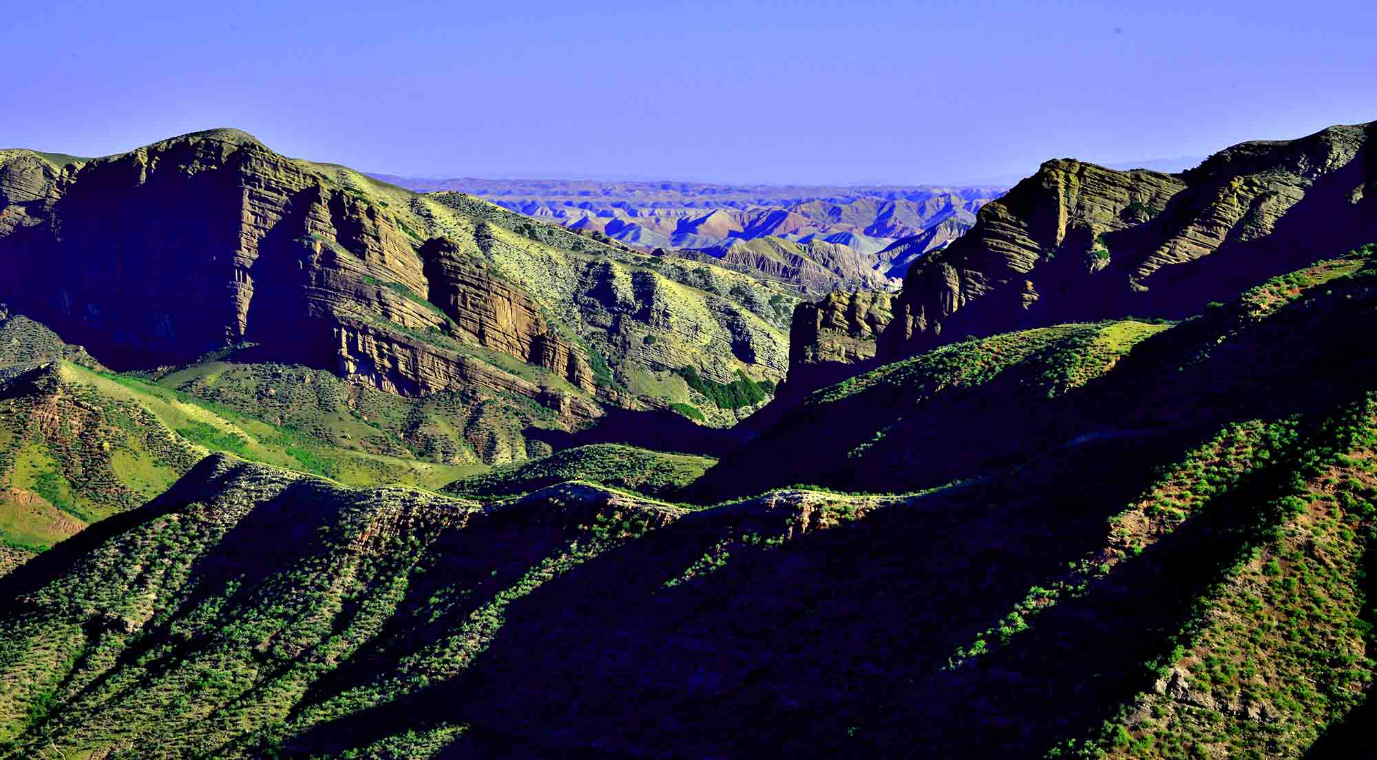_DSC3002.jpg