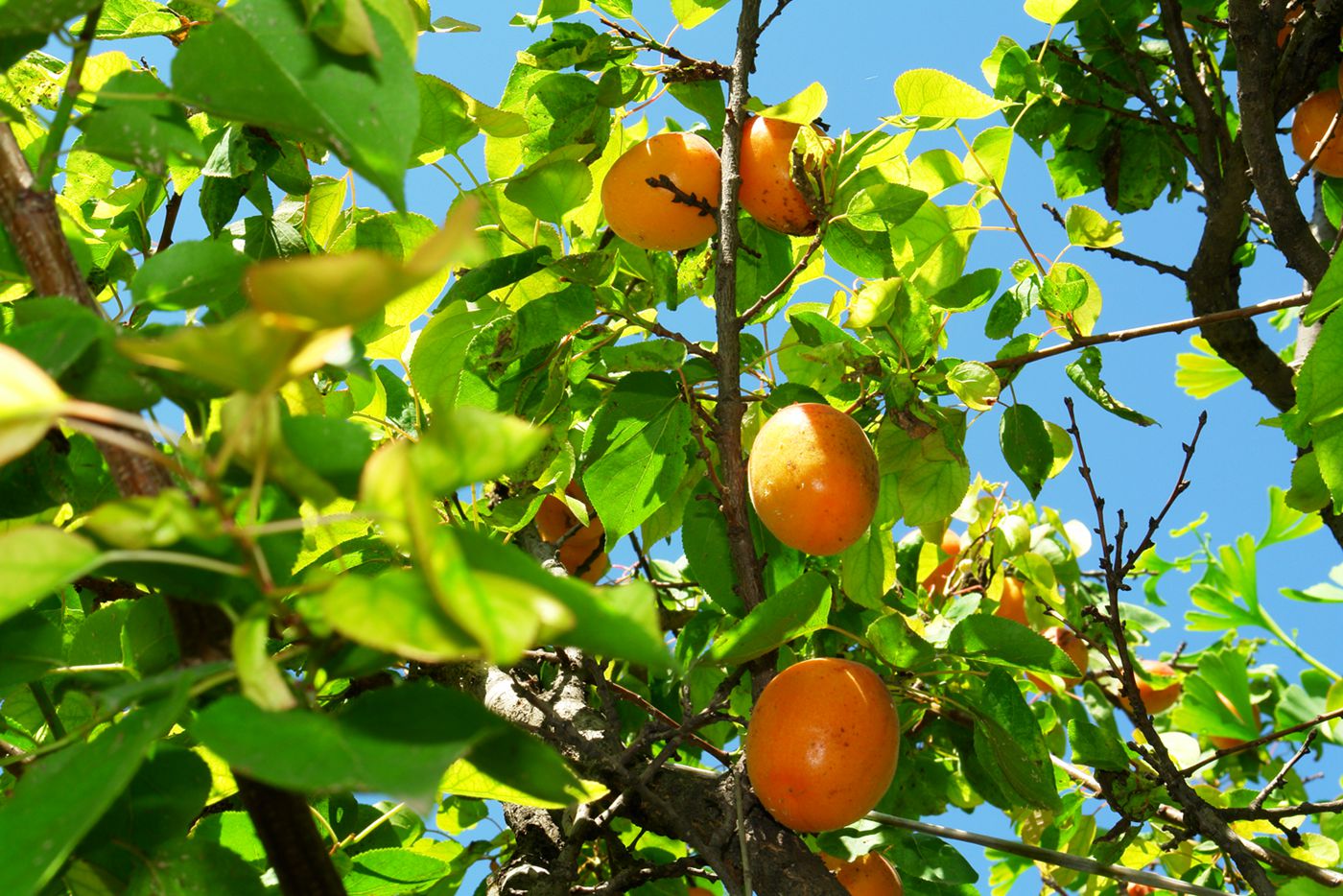 DSC06600__.jpg