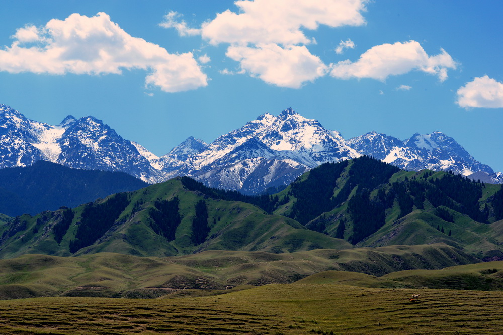 DSC_1956.JPG