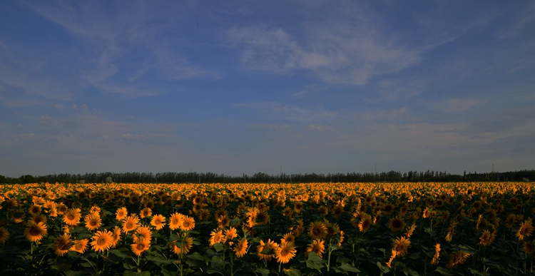 DSC_0906__.jpg