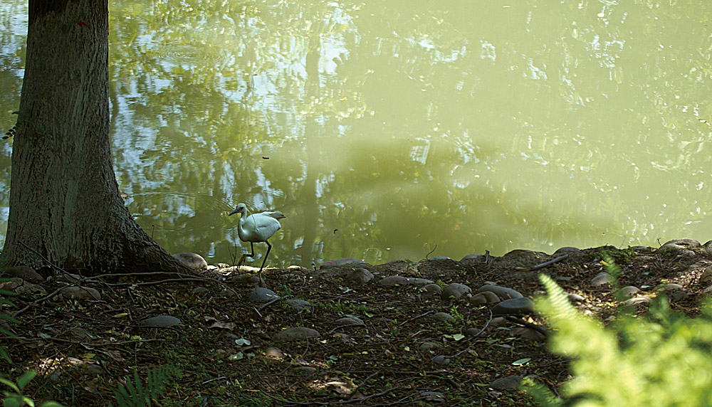 _N8E2522.JPG