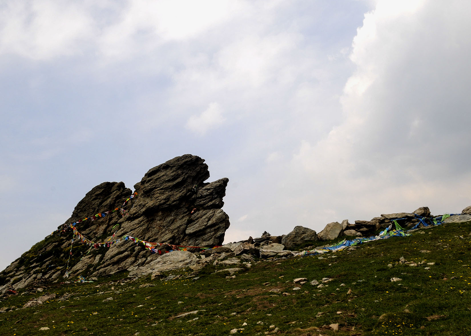 DSC_3333.jpg