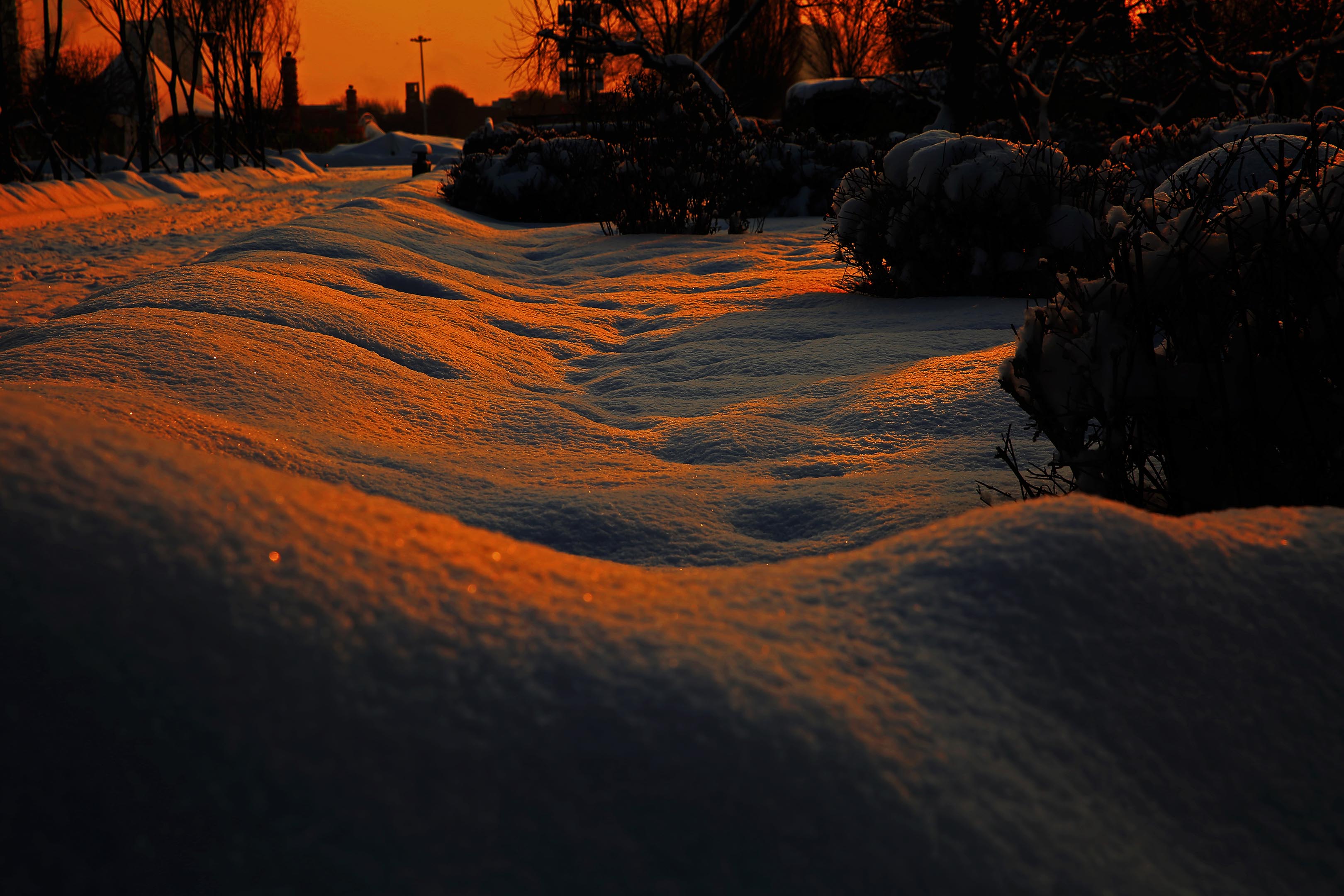 _H6A49461.jpg