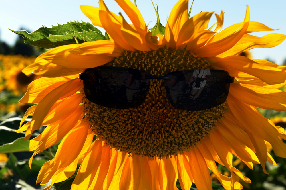˧   