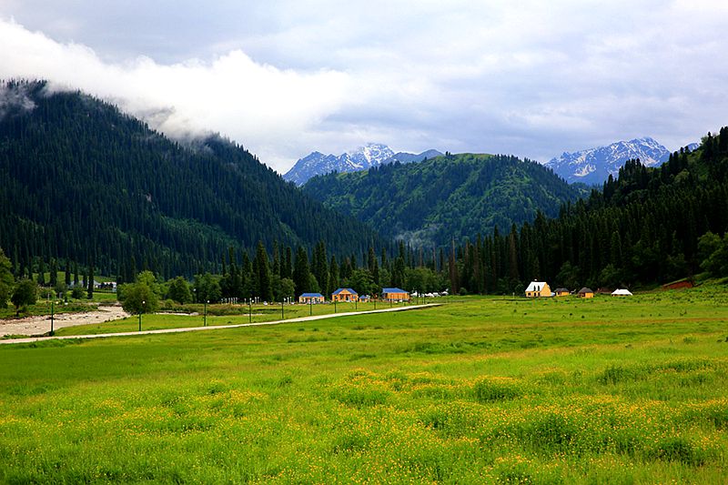 479A9199_.jpg
