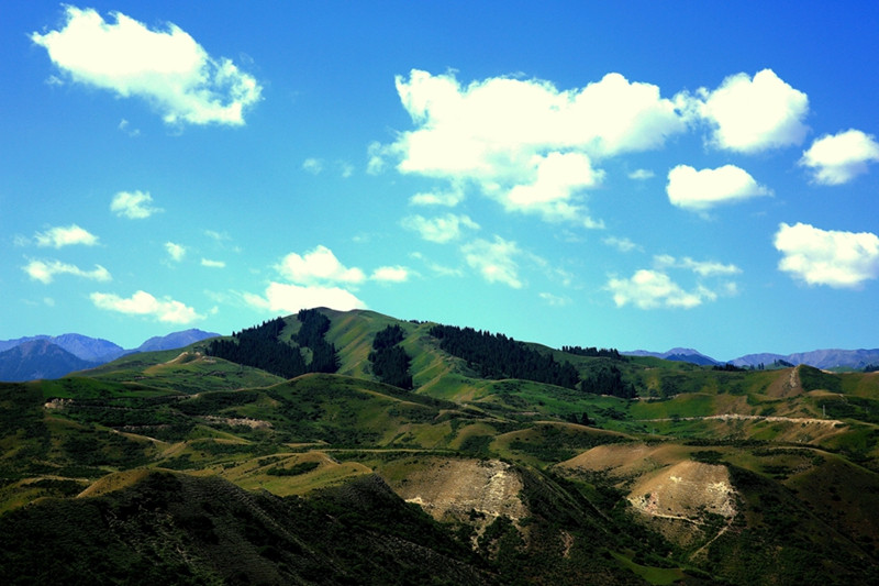 479A0542_.jpg