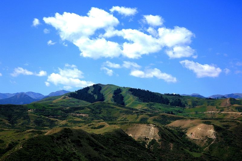 479A0549_.jpg