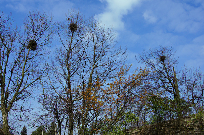 DSC01734.JPG