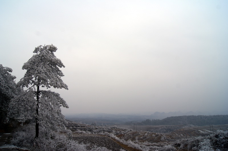 DSC02576.JPG