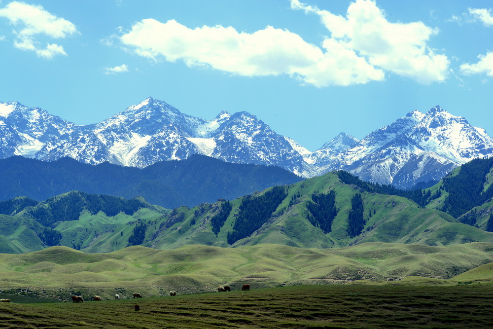 DSC_1987.JPG