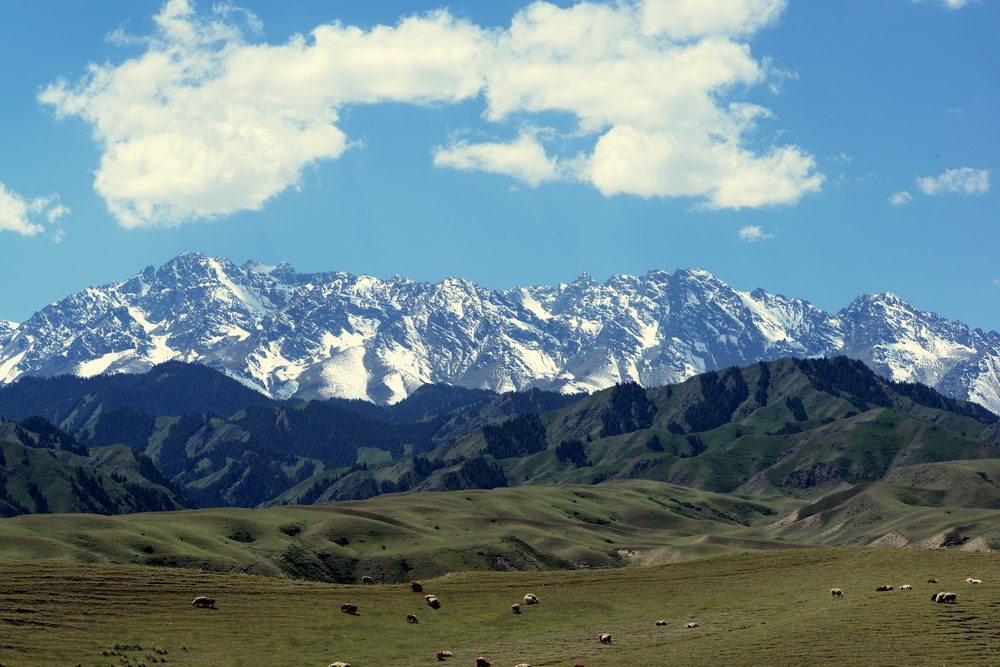 DSC_1950.JPG