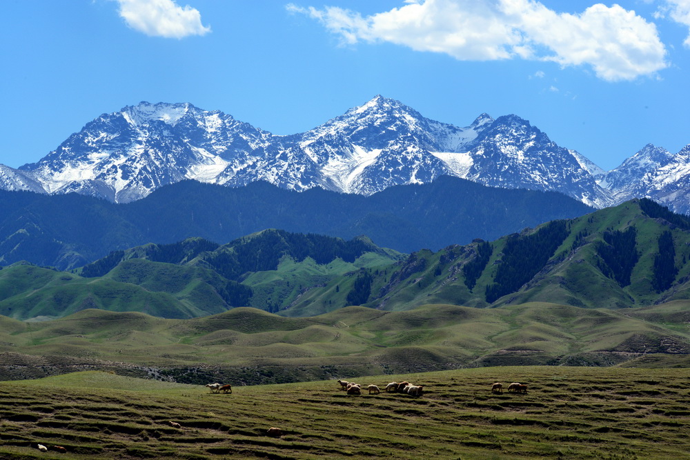 DSC_1965.JPG