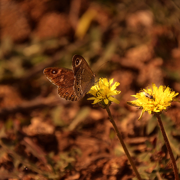 2014622¡ aa15912.jpg