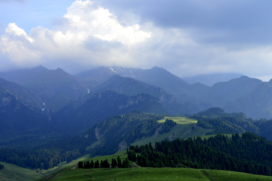 _A9A8615_.jpg