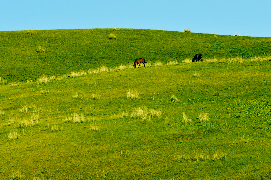 _DSC0129.JPG