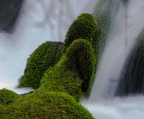 _DSC0316-3.JPG