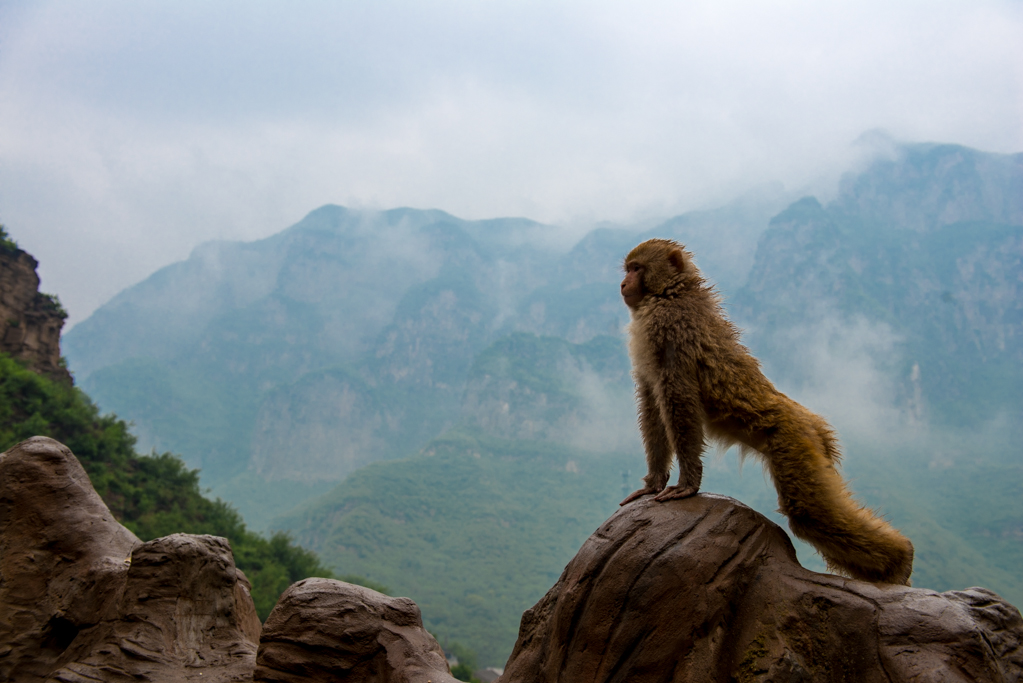 ZSL_8669.jpg