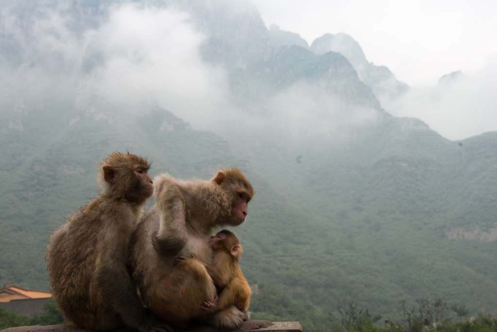 ZSL_8691.jpg