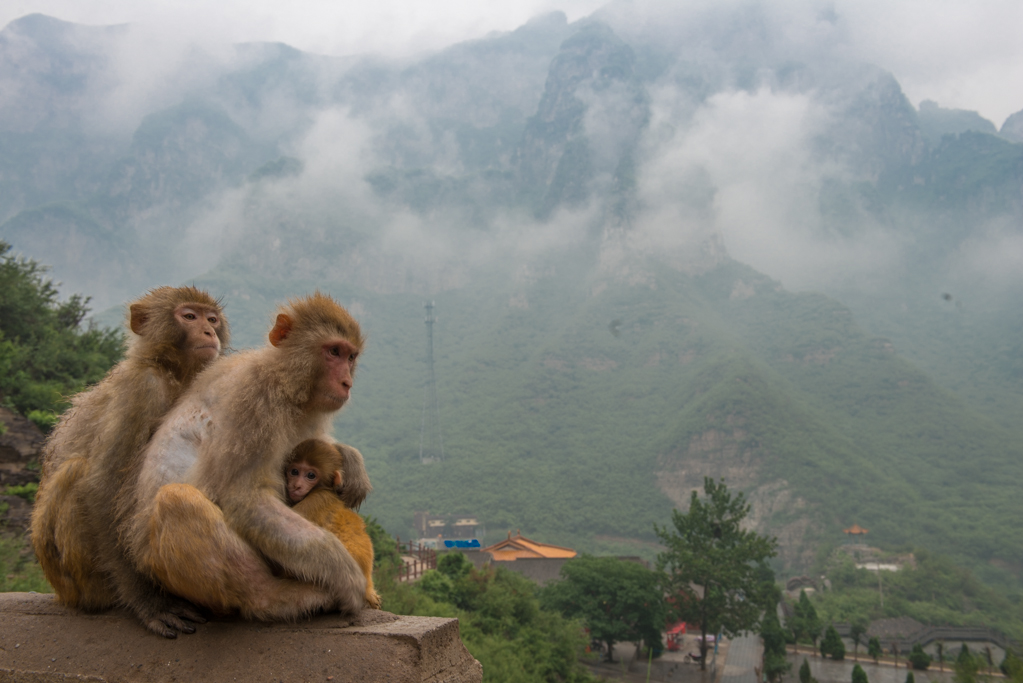 ZSL_8707.jpg