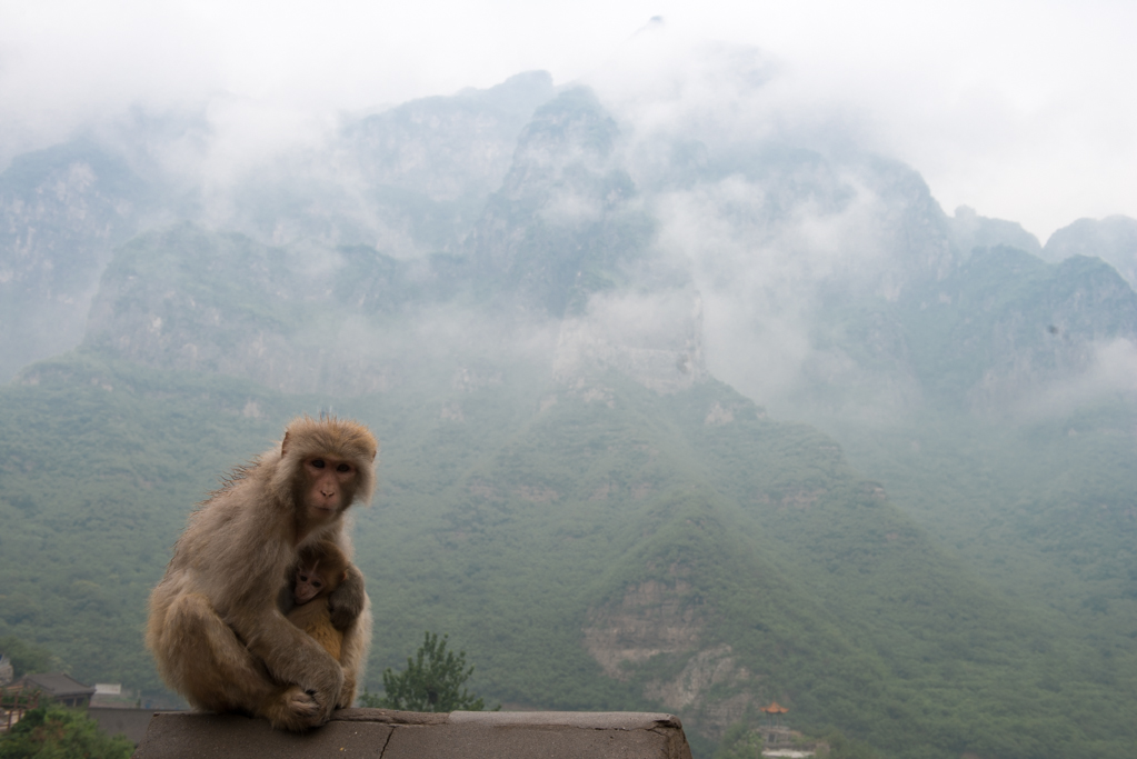 ZSL_8721.jpg