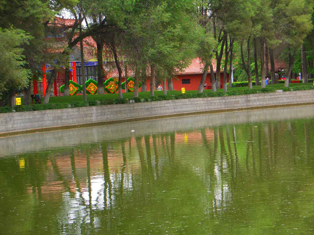 CIMG5083 .jpg
