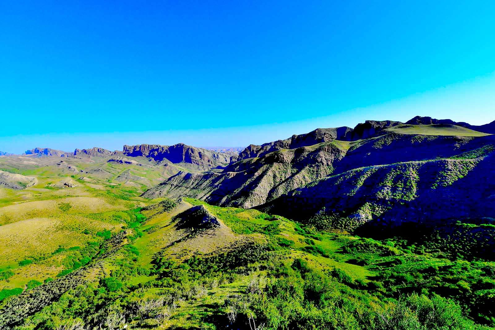 _DSC3028.jpg