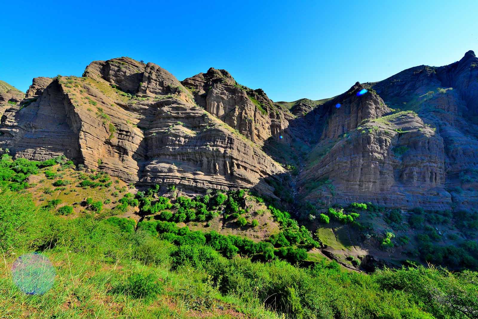 _DSC3043.jpg