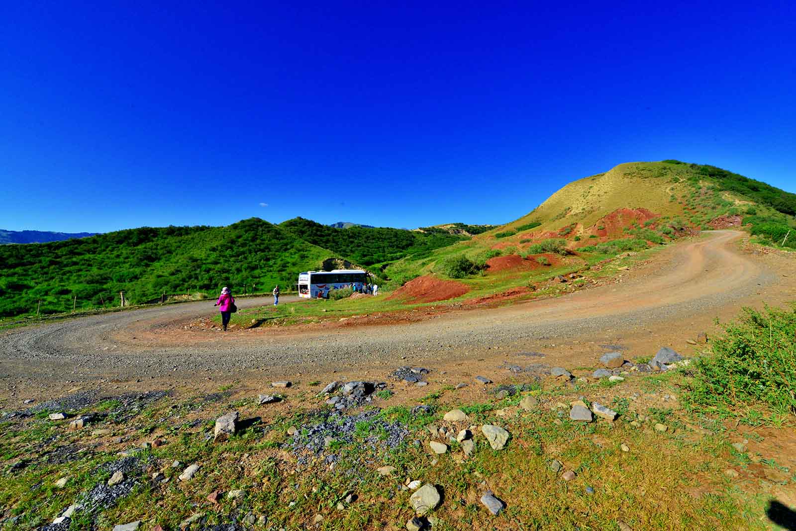 _DSC3060.jpg