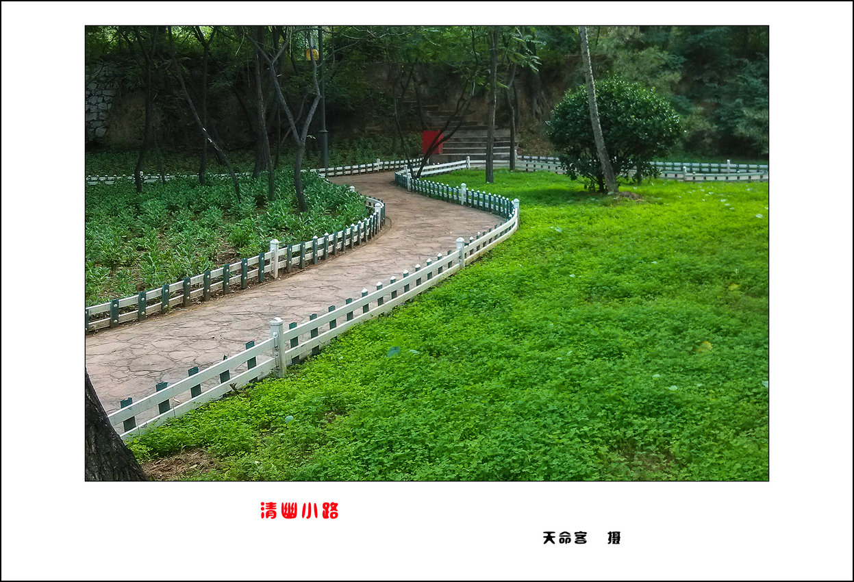 04.jpg