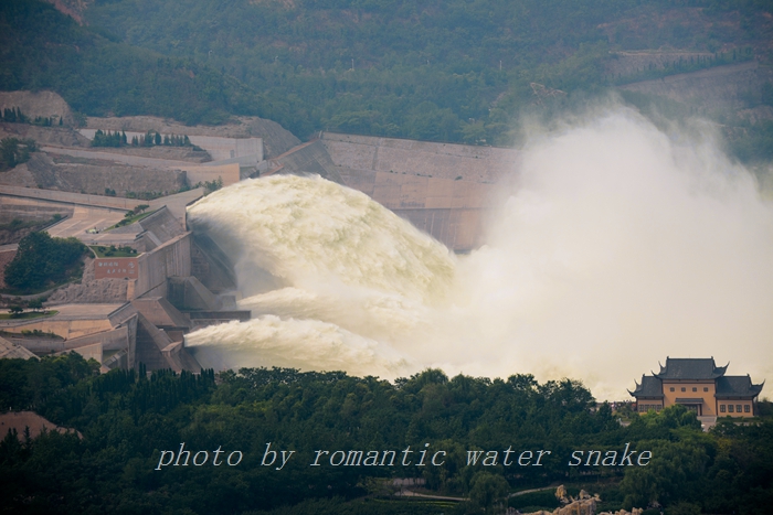DSC_1017.jpg