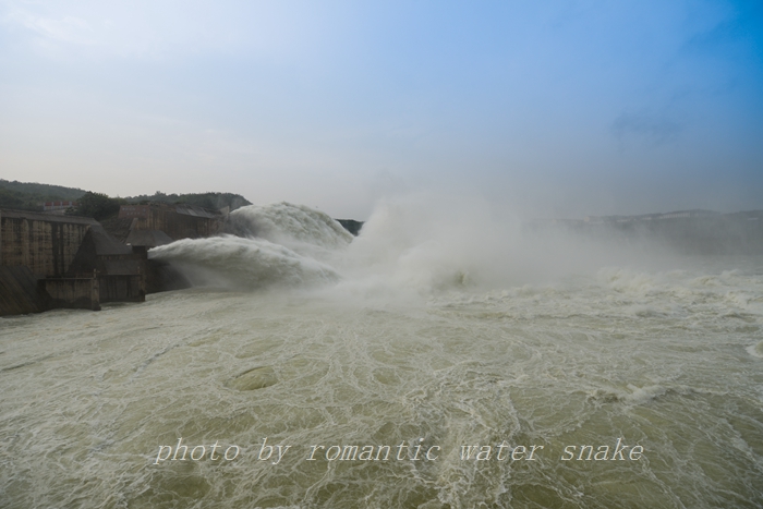DSC_1154.jpg