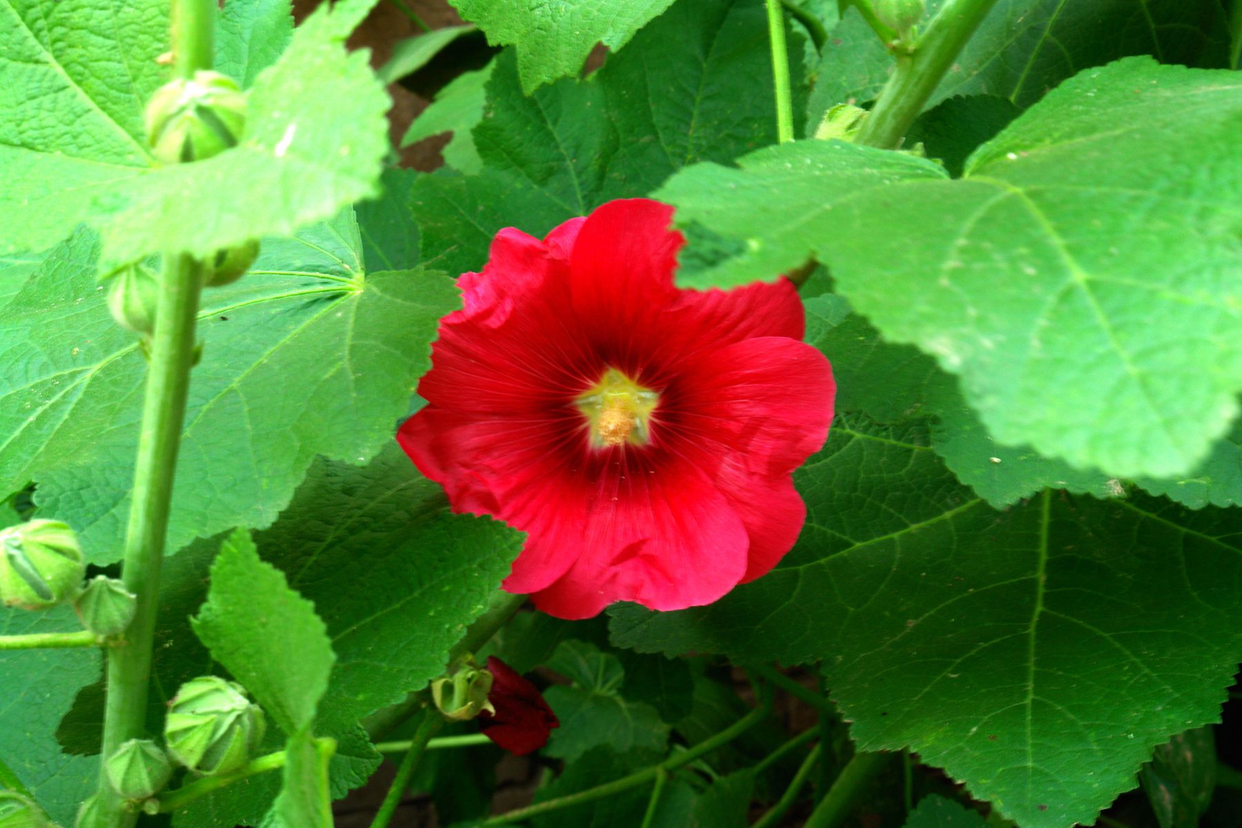 DSC06697_.jpg
