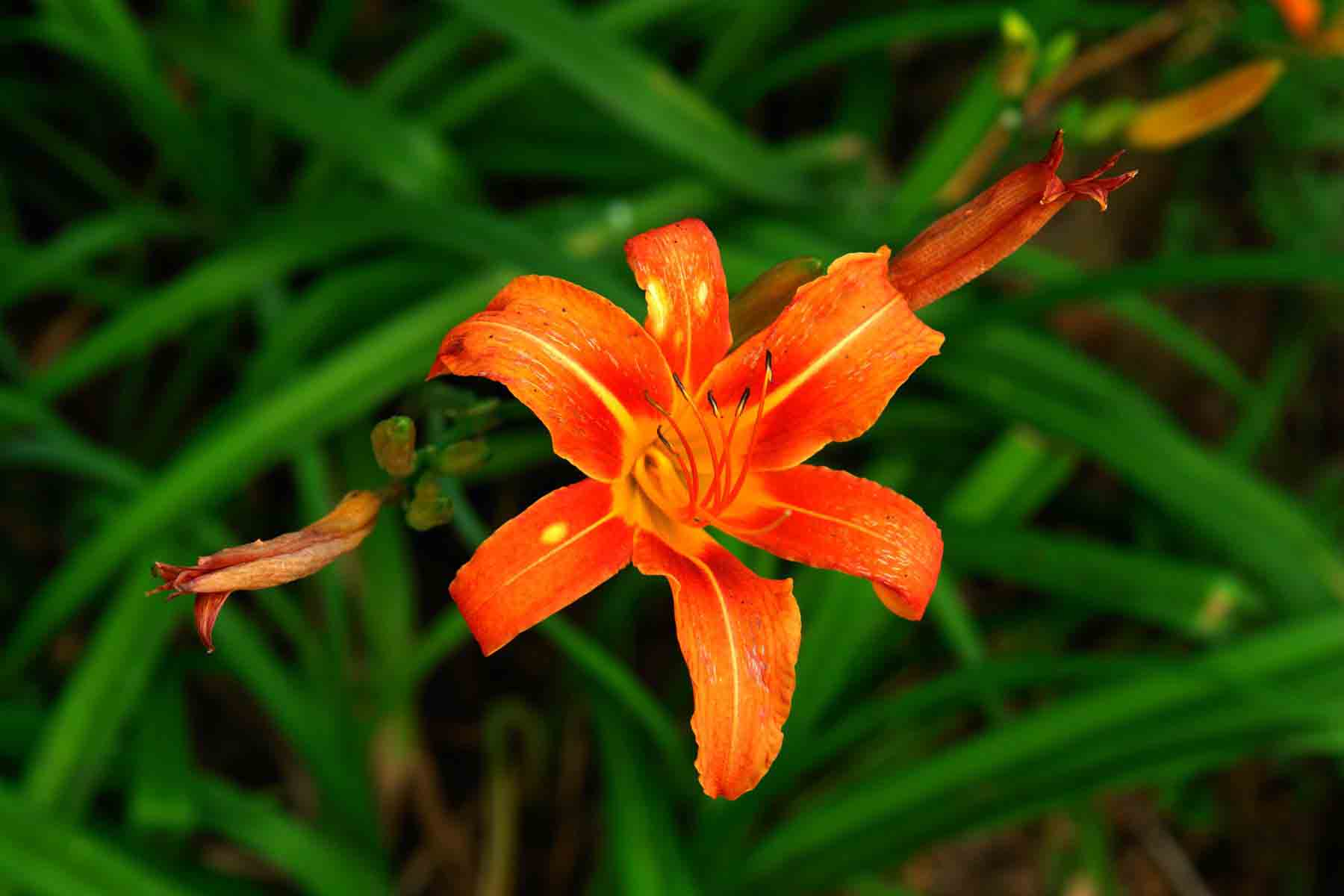 DSC06794_.jpg