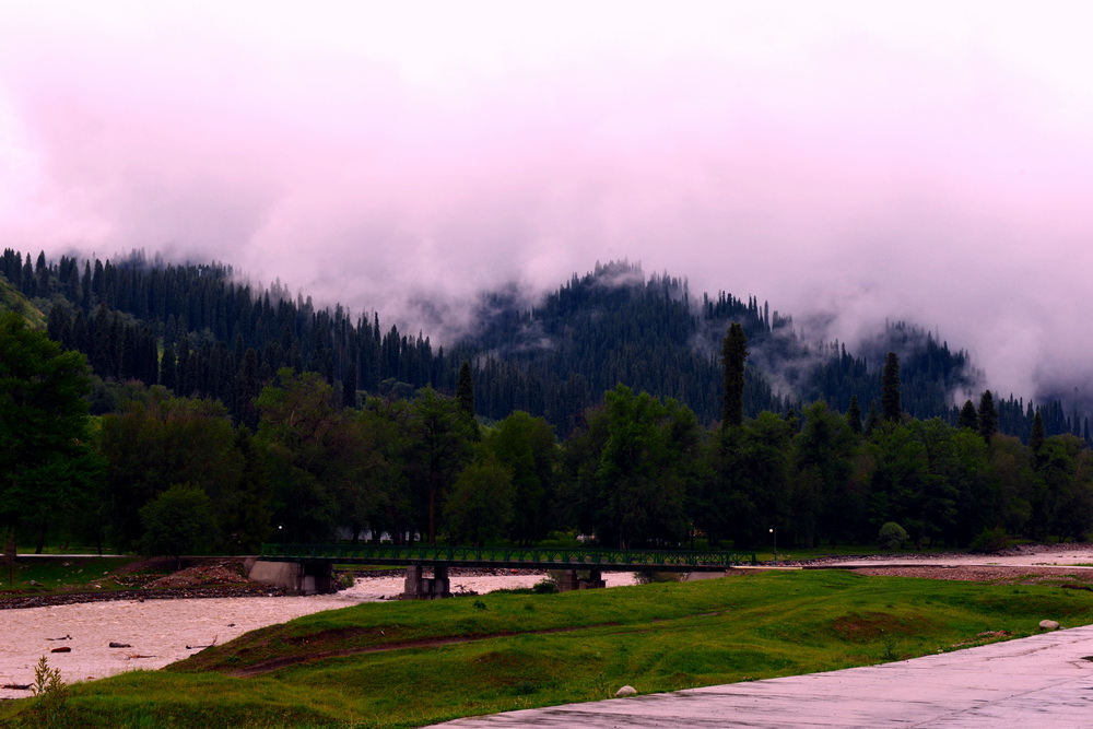 DSC_3322.JPG
